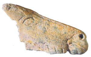 Contorno recortado de La Viña. © Javier Fortea. Museo Arqueológico de Asturias