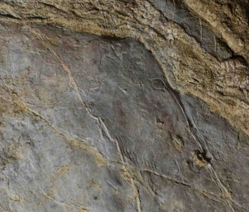 Caballo grabado en el panel principal. Detalle de la cabeza. © Sergio Ríos. Principado de Asturias, Consejería de Cultura