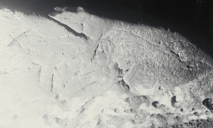 Caballos grabados (1917). © Francisco Hernández-Pacheco de la Cuesta. Museo Nacional de Ciencias Naturales