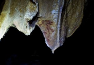 © Principado de Asturias, Consejería de Cultura