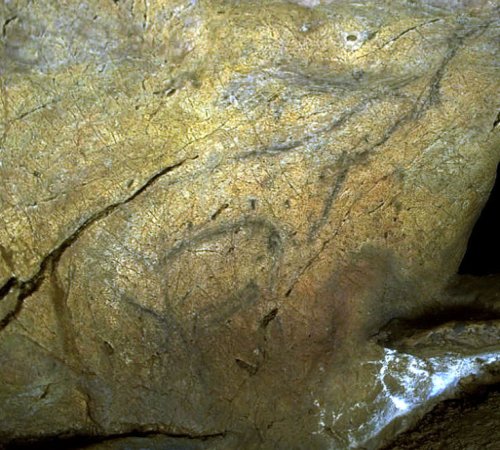 Gamo. © Texnai. Principado de Asturias, Consejería de Cultura