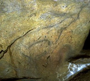 Gamo. © Texnai. Principado de Asturias, Consejería de Cultura