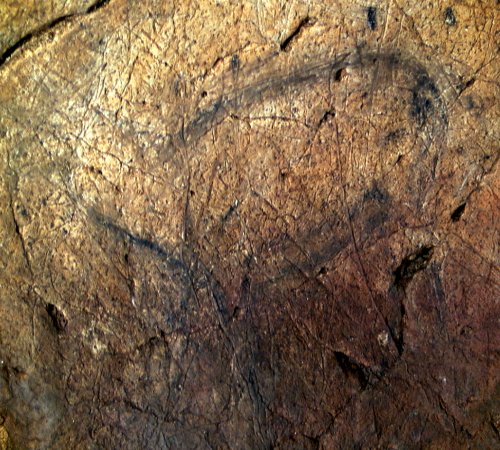 Ciervo grabado y pintado en color negro. © Texnai. Principado de Asturias, Consejería de Cultura