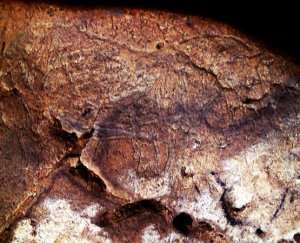 Caballo grabado. © Texnai. Principado de Asturias, Consejería de Cultura