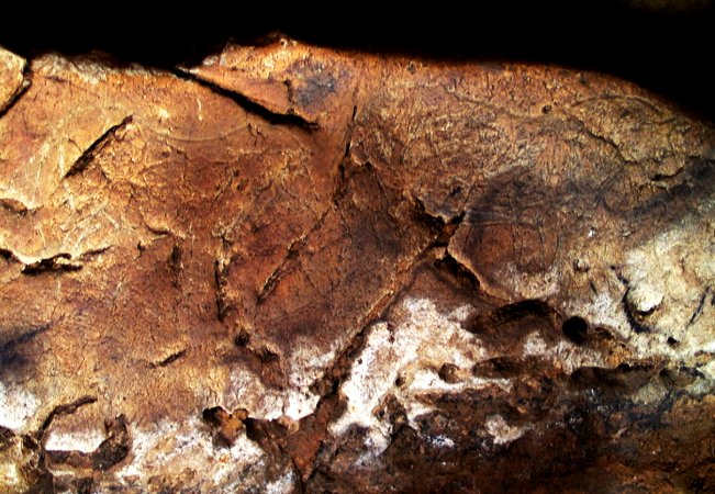 Caballos grabados. © Texnai. Principado de Asturias, Consejería de Cultura