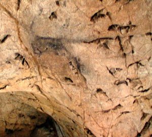 Cabra pintada en color negro. © Texnai. Principado de Asturias, Consejería de Cultura