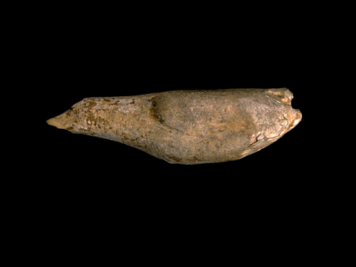 Escultura de ave. © Texnai. Museo Arqueológico de Asturias