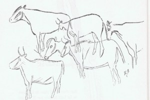 Calco de Henri Breuil (1911)