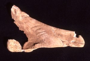 © Museo Arqueológico de Asturias