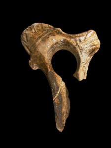 © Texnai. Museo Arqueológico de Asturias