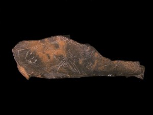 © Texnai. Museo Arqueológico de Asturias