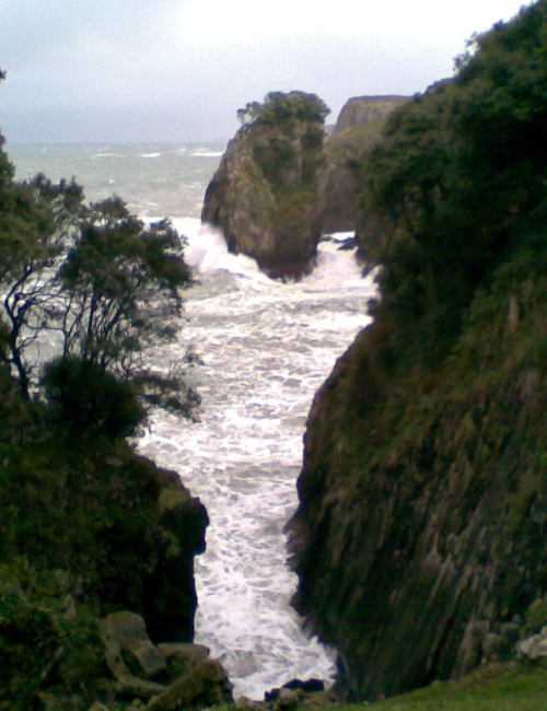 © María González-Pumariega. Principado de Asturias, Consejería de Cultura