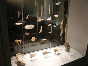 © Ménsula Ediciones, Museo Arqueológico de Asturias