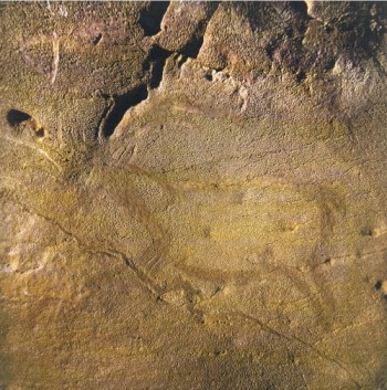 Reno grabado en La Covaciella. © Javier Fortea, Principado de Asturias, Consejería de Cultura