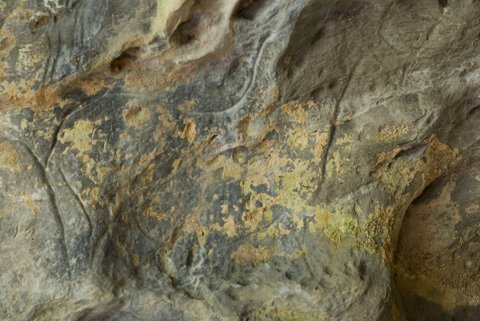 Caballo grabado en la Gran Hornacina del abrigo de la Lluera. © Sergio Ríos, Principado de Asturias, Consejería de Cultura