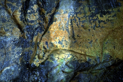 Uro grabado en la Gran Hornacina del abrigo de la Lluera: detalle. © Texnai, Principado de Asturias, Consejería de Cultura