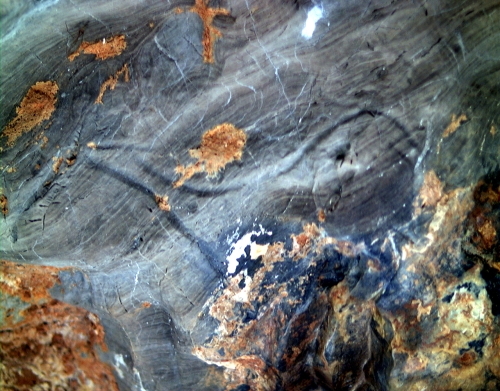 Cierva grabada en la Gran Hornacina del abrigo de la Lluera. © Texnai, Principado de Asturias, Consejería de Cultura