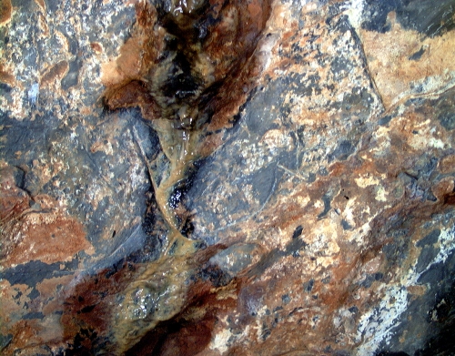 Cierva grabada en la Gran Hornacina del abrigo de la Lluera. © Texnai, Principado de Asturias, Consejería de Cultura