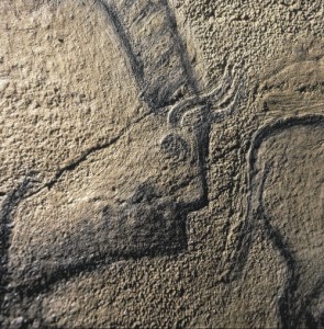 La Covaciella, detalle del panel principal. © Javier Fortea. Principado de Asturias, Consejería de Cultura