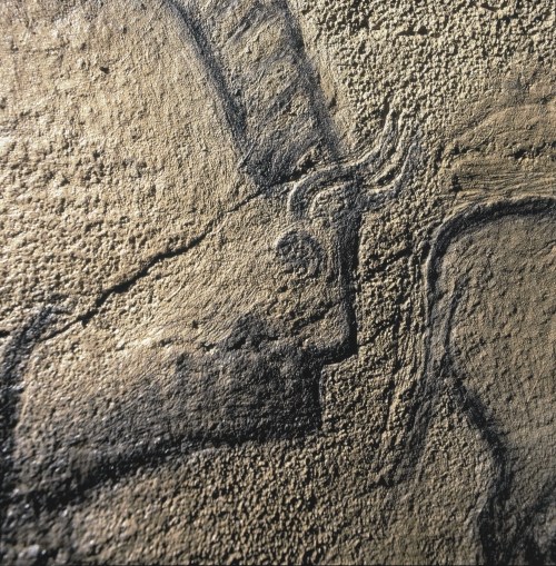 La Covaciella, detalle del panel principal. © Javier Fortea. Principado de Asturias, Consejería de Cultura