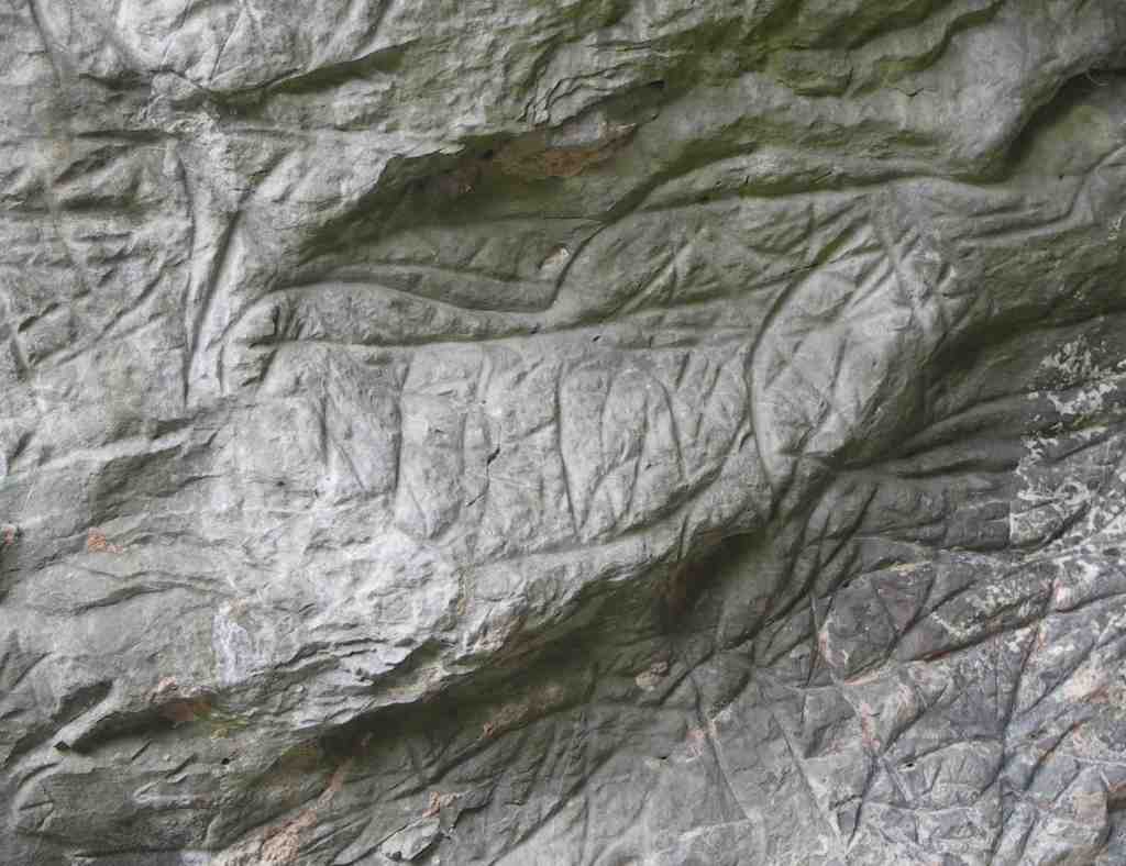 Caballo grabado en el abrigo de la Lluera. © Sergio Ríos, Principado de Asturias, Consejería de Cultura