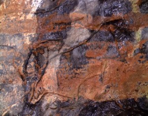 Uro grabado en la Gran Hornacina del abrigo de la Lluera. © Texnai, Principado de Asturias, Consejería de Cultura