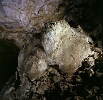Bloque con el bisonte grabado del conjunto B de Coímbre. © Equipo Norte, Ministerio de Educación y Cultura