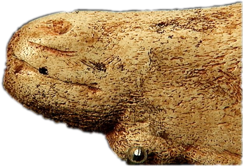 Detalle de la boca y ollar en el anverso de la escultura-colgante de Tito Bustillo © Texnai, Museo Arqueológico de Asturias