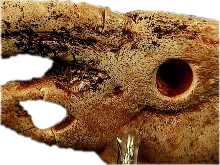 Detalle de ojo y perforación en en reverso de la escultura colgante de Tito Bustillo © Texnai, Museo Arqueológico de Asturias