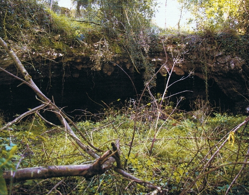 Abrigo de entrada a la cueva de Herrerías. © César García de Castro y Sergio Ríos