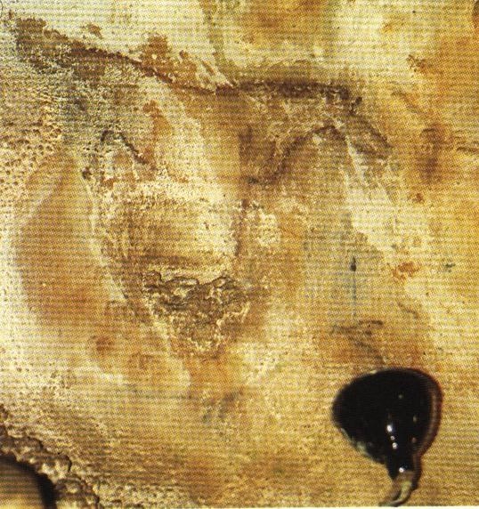 Caballo del Talud de La Peña de Candamo © Javier Rodríguez Muñoz, Silverio Cañada Editores