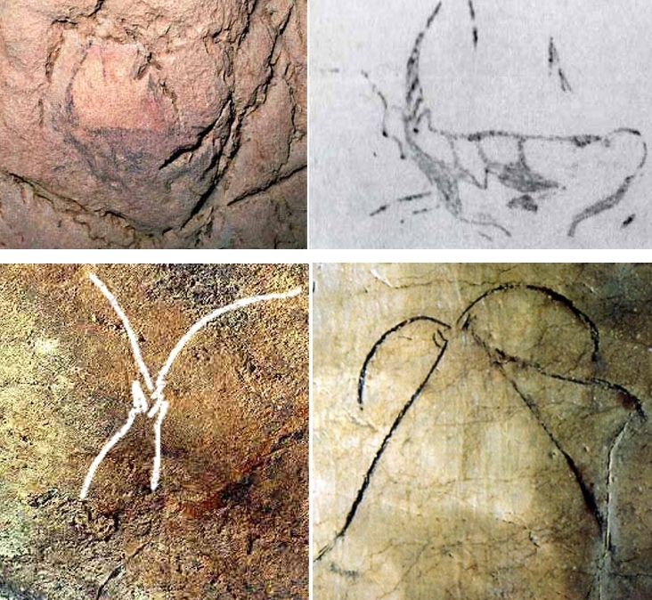 Ejemplos de representaciones de cabras frontales en el arte parietal. Arriba Ekain; abajo, a la izquierda, El Otero (calco sobre fotografía); a la derecha, Niaux