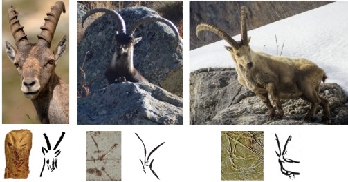 Comparativa de actitudes naturalistas de cabras en alerta con ejemplos de decoración en perspectiva frontal. De izquierda a derecha: El Pendo, Llonín y Abauntz