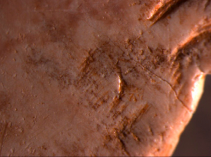 Detalle al microscopio del ojo del bisonte representado. © Olivia Rivero