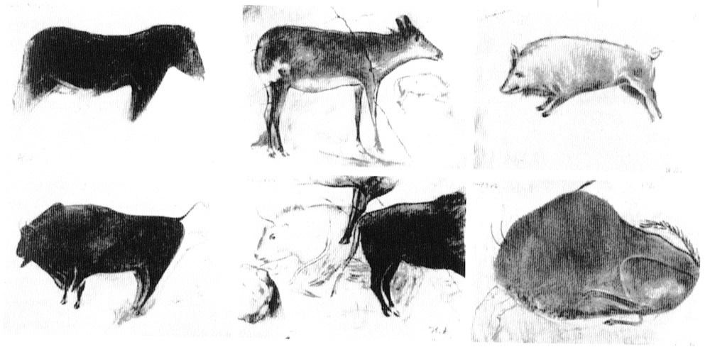 Reproducciones de Altamira realizadas por Hermilio Alcalde del Río