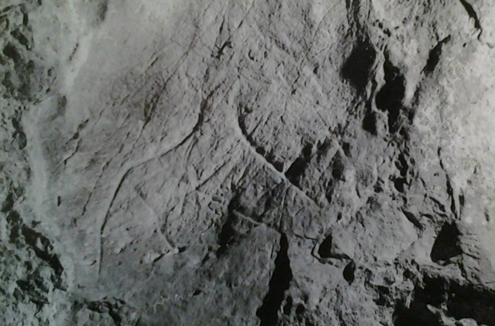 Caballo grabado orientado a la derecha © Manuel Mallo Viesca