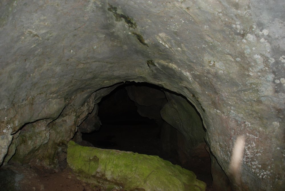Vista interior desde una de las dos bocas de la cueva de Las Mestas © Santiago Calleja