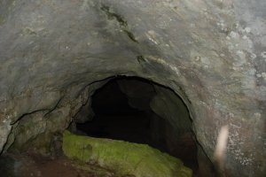 Vista interior desde una de las dos bocas de la cueva de Las Mestas © Santiago Calleja