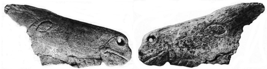 La Viña: contorno recortado de caballo