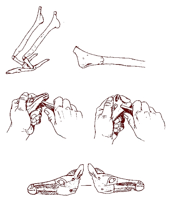 Cadena operativa de un contorno recortado